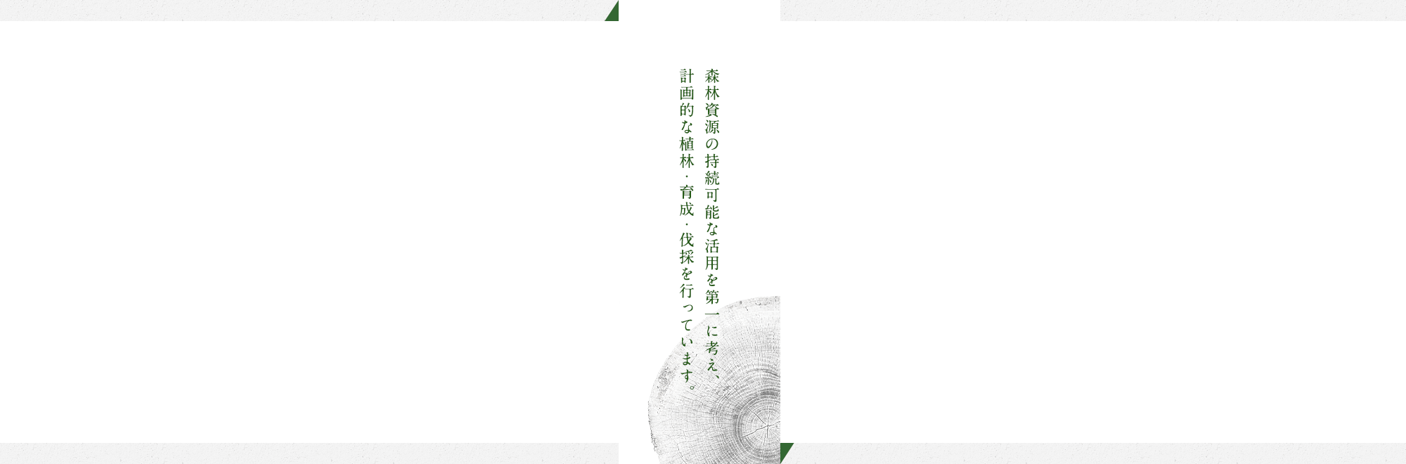 para_cover